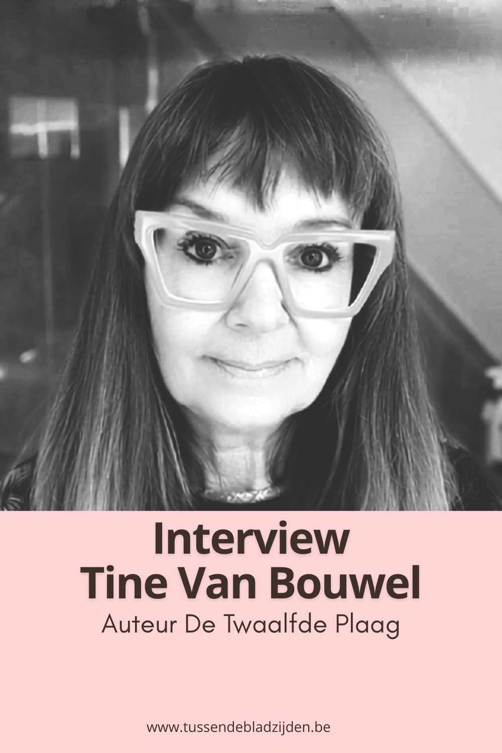 Tine Van Bouwel auteur De Twaalfde Plaag