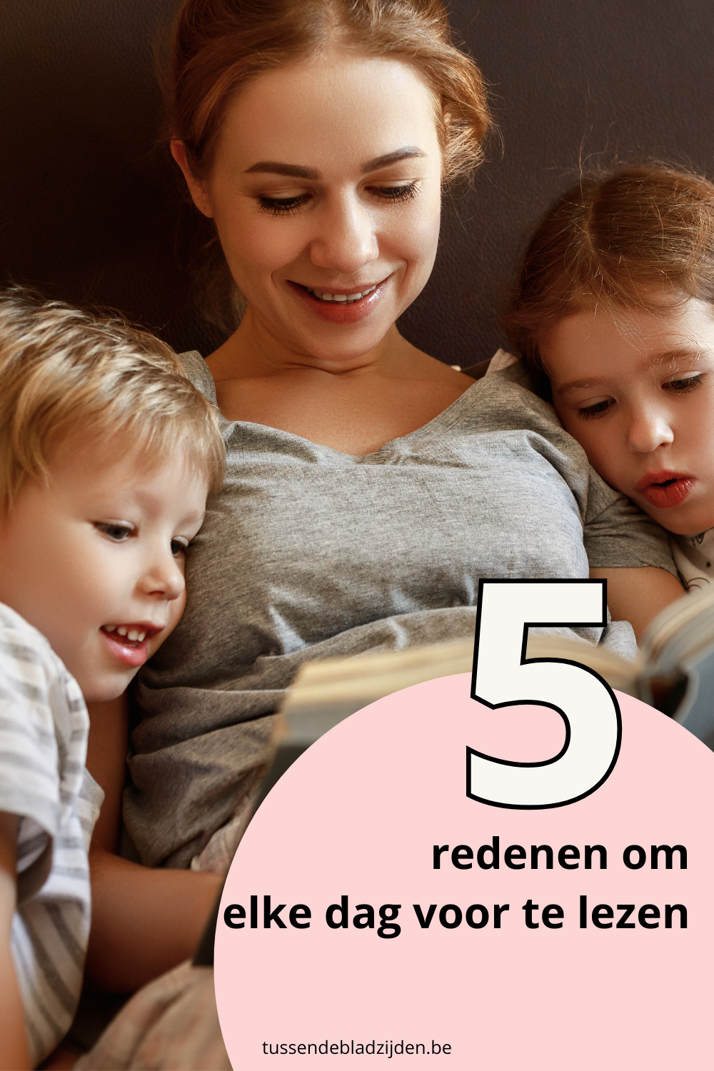Ouder leest prentenboek voor aan kind in gezellige leeshoek