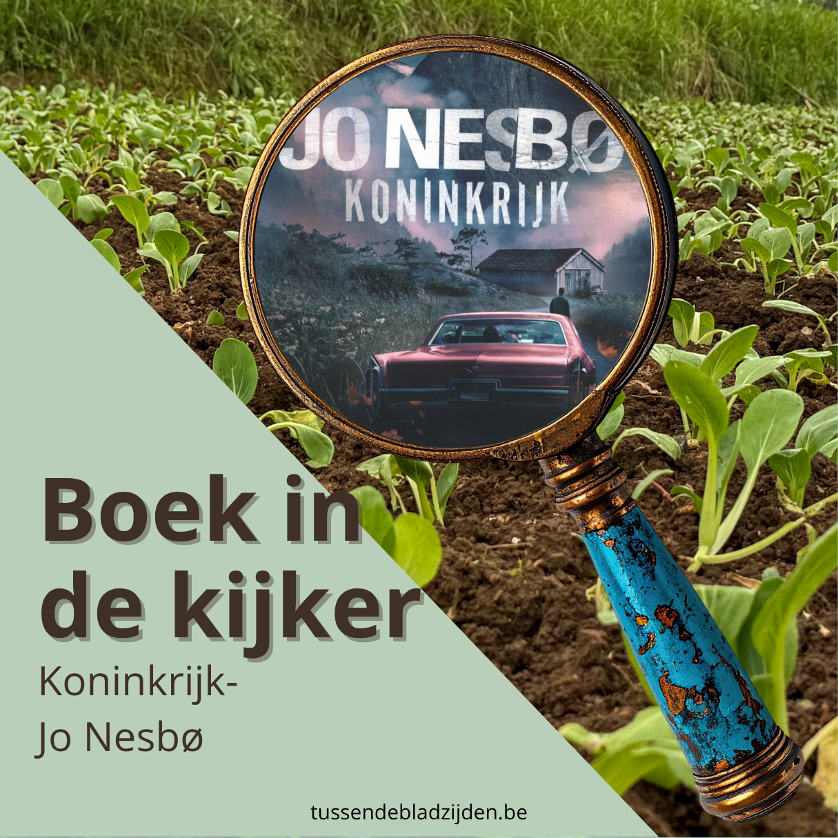 Koninkrijk door Jo Nesbø