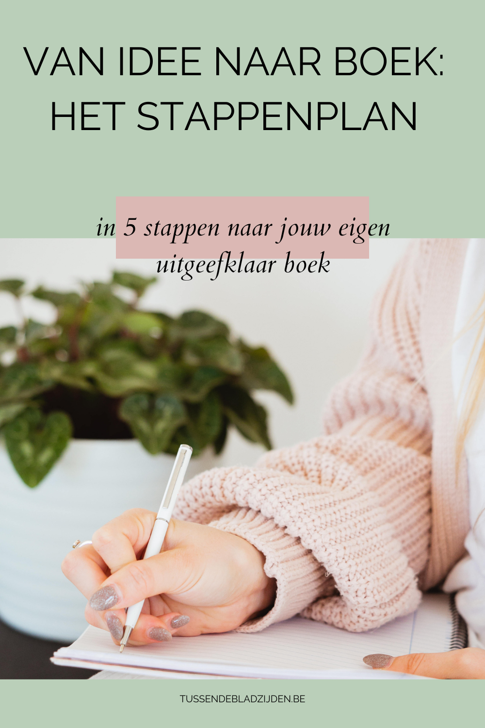 in vijf stappen naar een uitgeefklaar boek