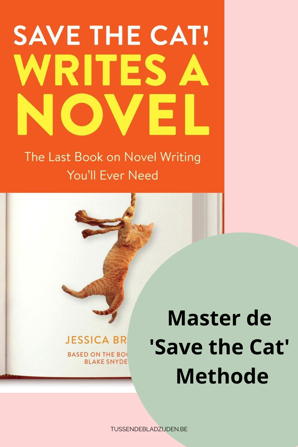 Master de Save the Cat methode om jouw boek te schrijven