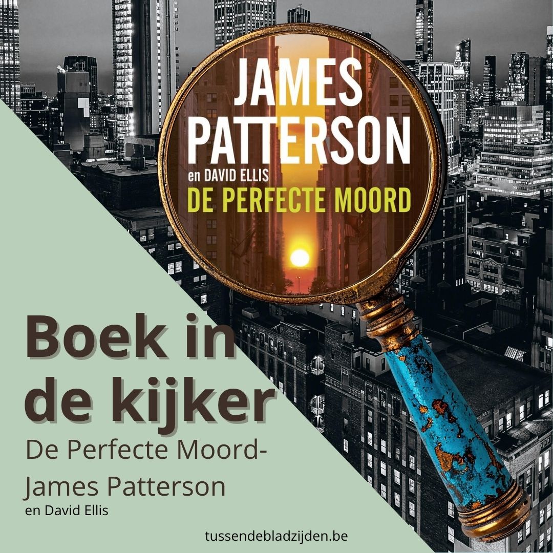 De Perfecte Moord - James Patterson