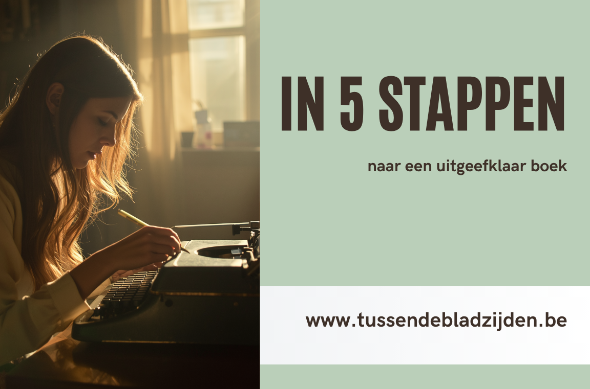 in 5 stappen naar een uitgeefklaar boek