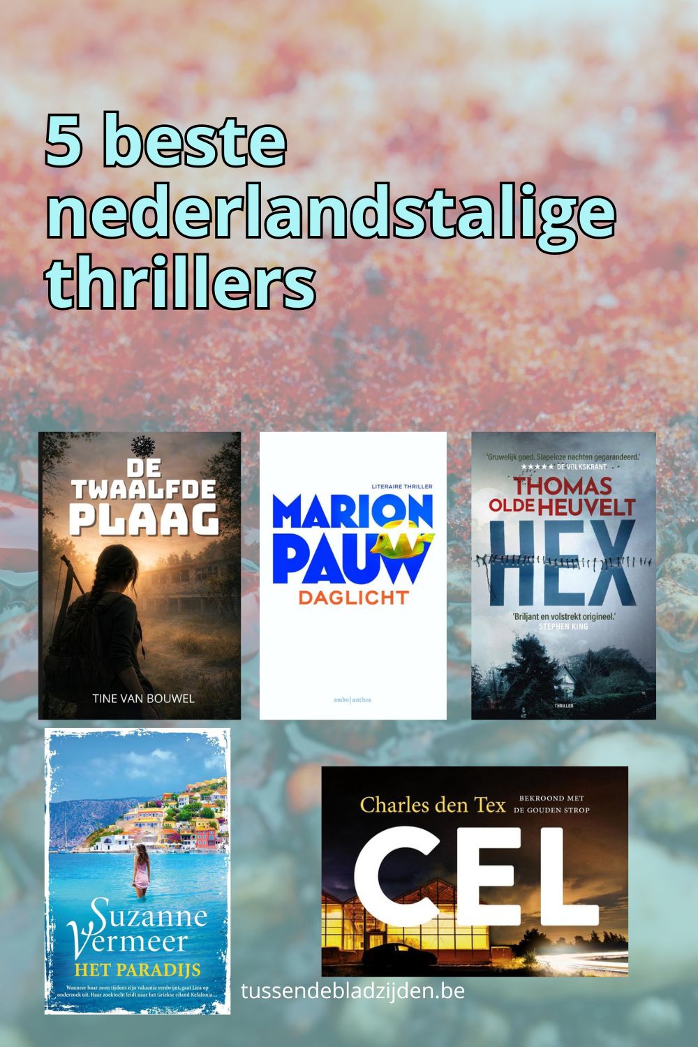 vijf beste nederlandstalige thrillers