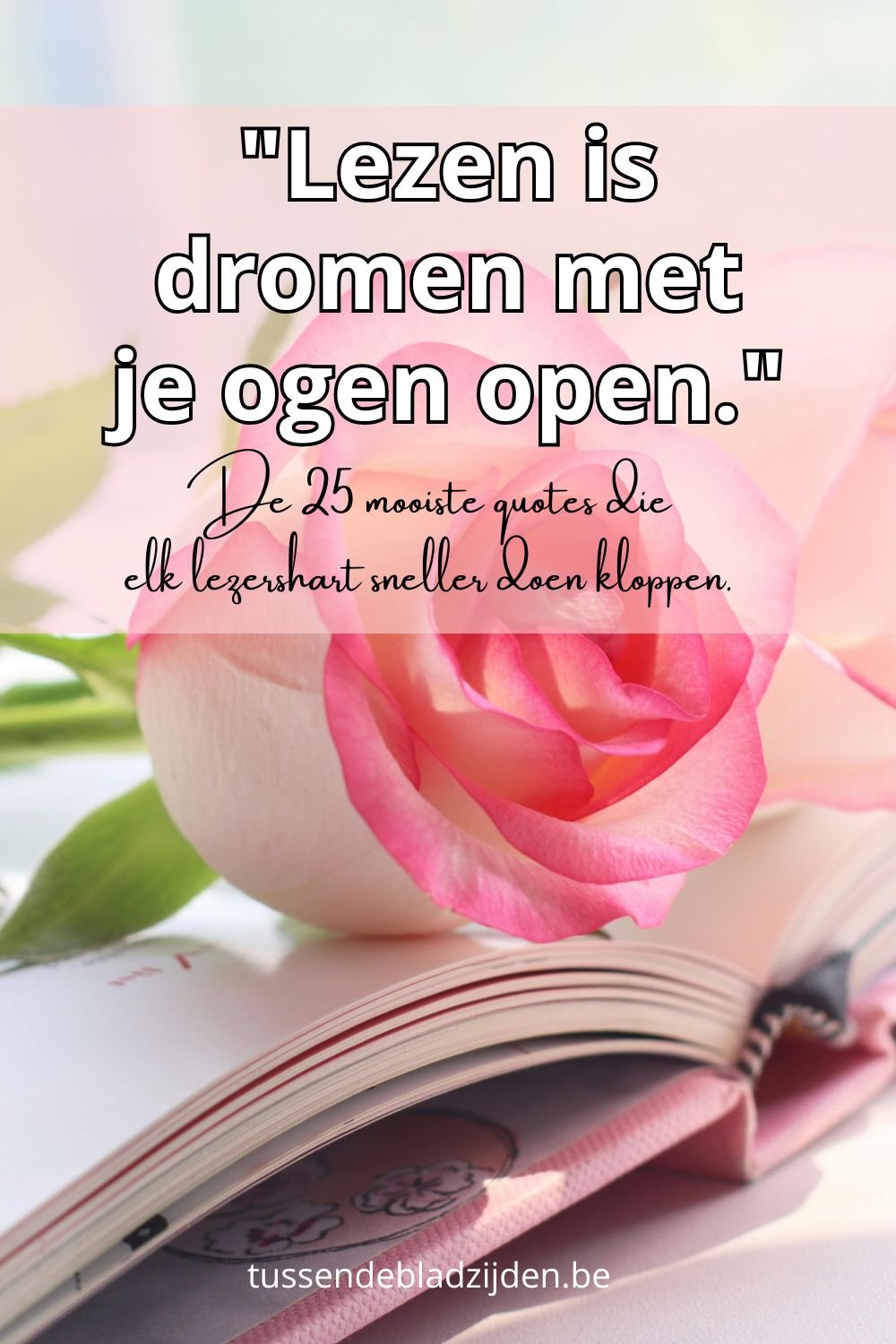25 x mooist quotes voor lezers