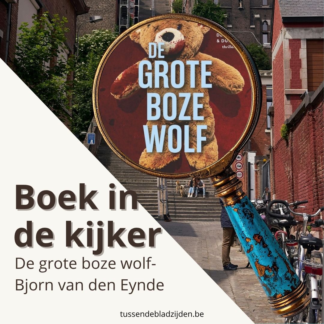 De grote boze wolf - Bjorn Van den Eynde