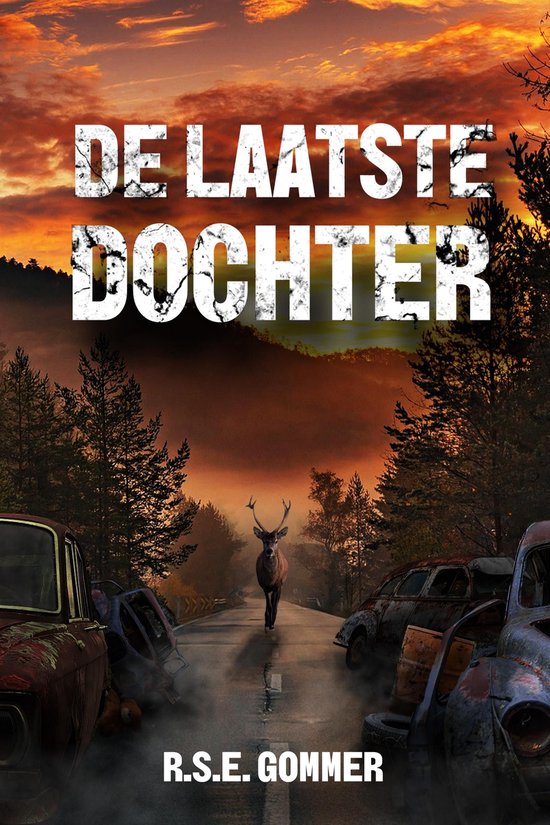 De laatste dochter - R.S.E. Gommer