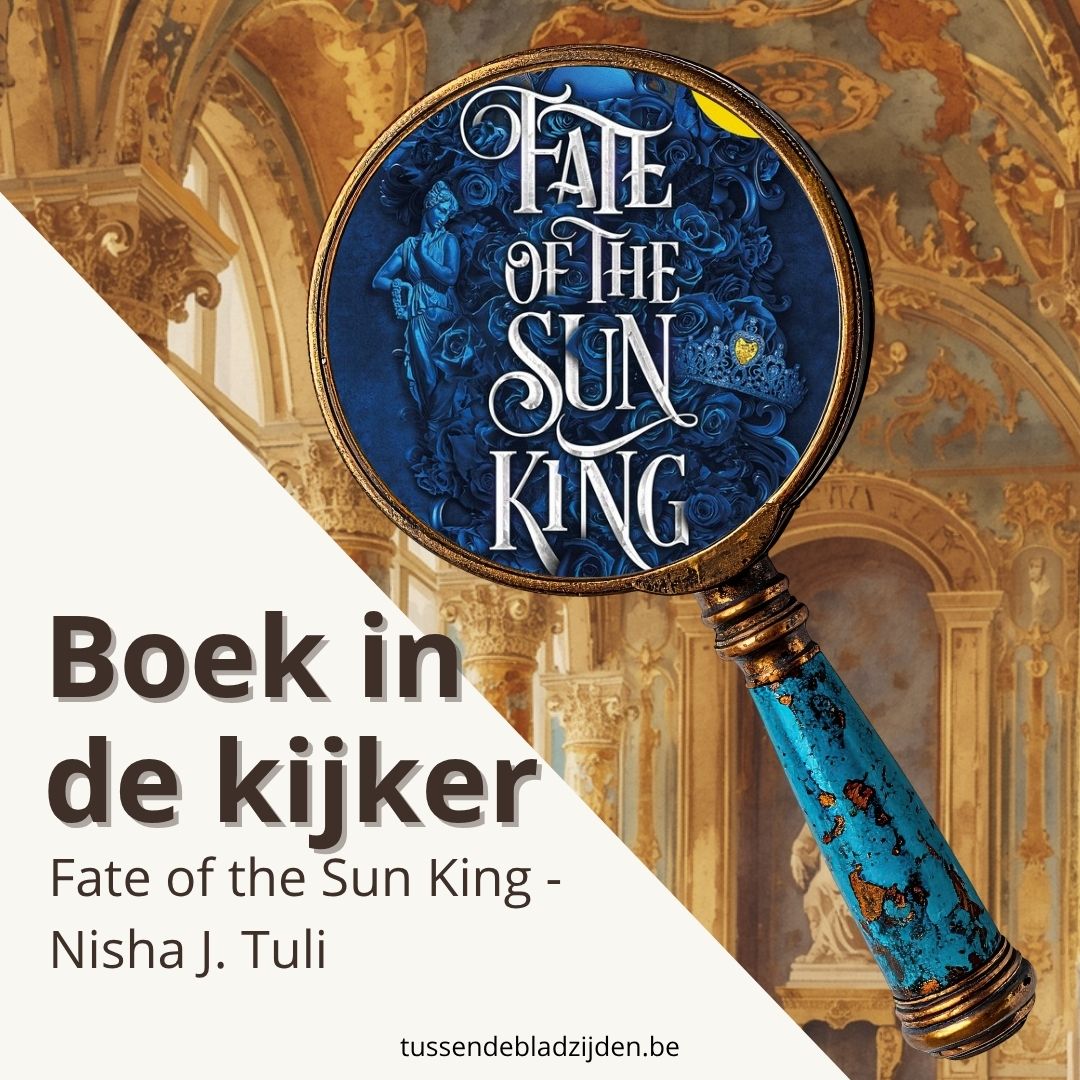 Blauwe boekcover met titel Fate of the Sun King, gouden sleutel en barokke achtergrond, tekst Boek in de kijker.